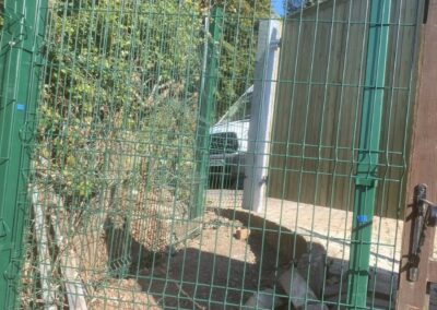 ao landscaping gallery 111