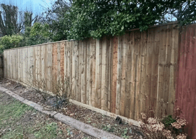 ao landscaping gallery 11(1)