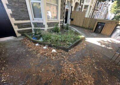 ao landscaping gallery 119