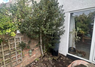 ao landscaping gallery 19