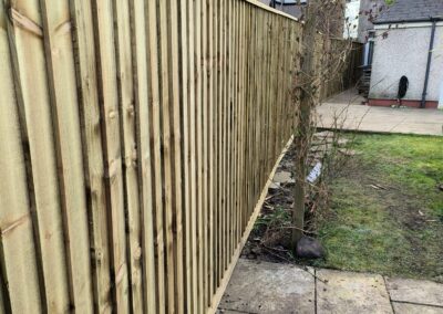 ao landscaping gallery 3(1)