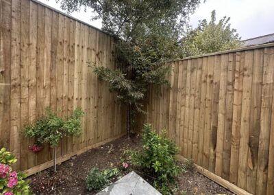 ao landscaping gallery 75